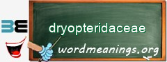 WordMeaning blackboard for dryopteridaceae